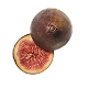 Fig